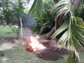 CubanGrill2
