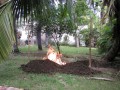 CubanGrill3