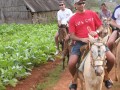 EeroPaulPalio