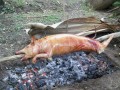 ElPuercoCubano6