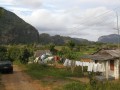 PalioVinales1