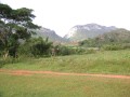 PalioVinales6