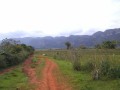 PalioVinales7