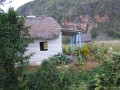 PalioVinales8