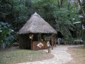 Vinales1